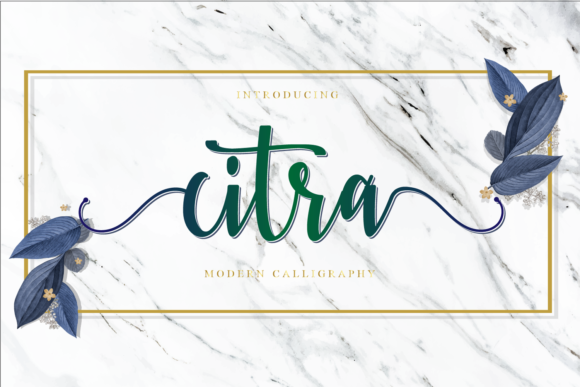 Citra: The Script Handwritten Font for Elegant Branding