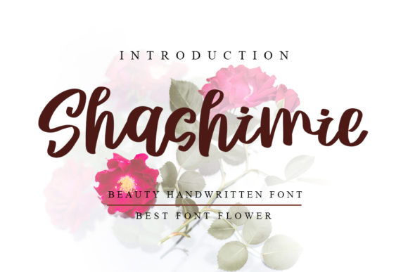 Shashimie Font for Modern Web Design