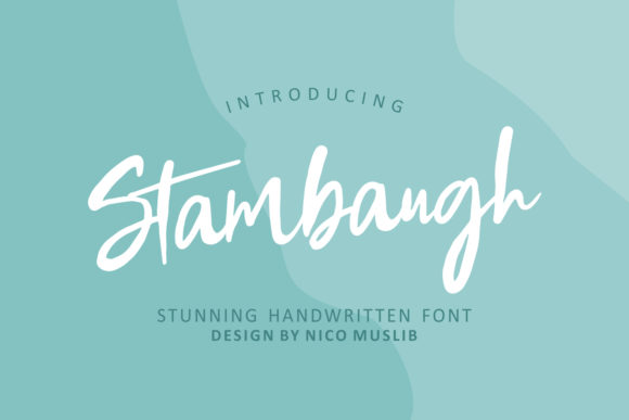 Stambaugh: A Modern Script Typeface for Branding