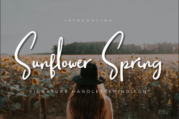 Sunflower Spring Typeface for Modern Branding